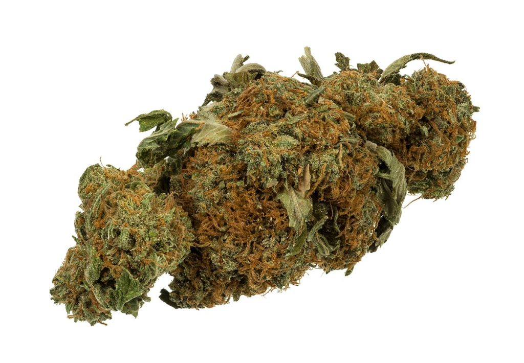 cbd flower